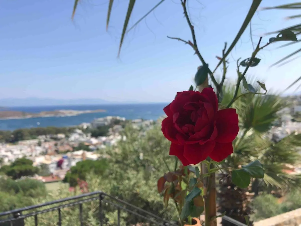 Luxury Bodrum Villa With Panoramic Sea View 0*,